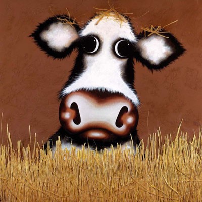 Hay Jude Caroline Shotton