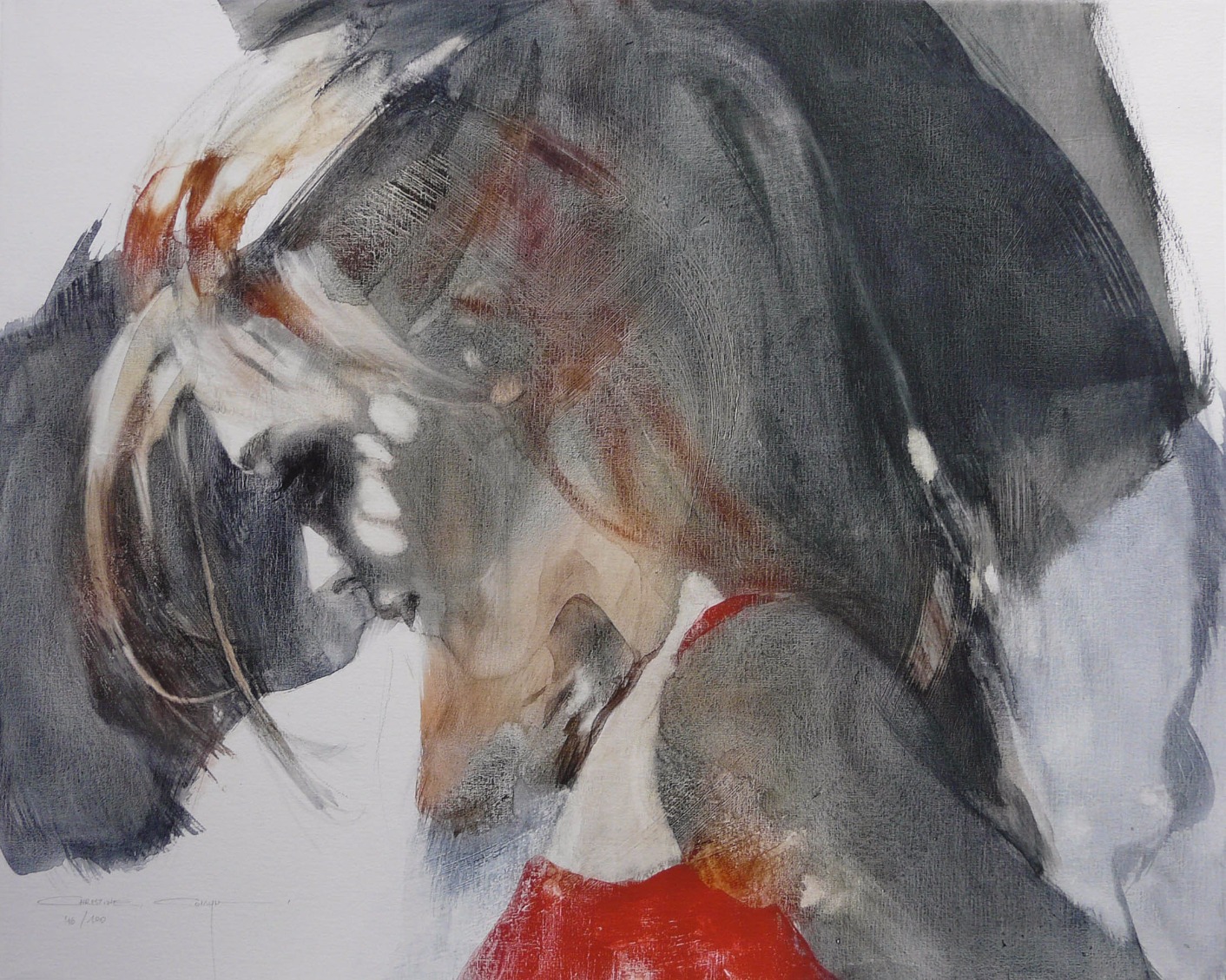 Another Point of View Christine Comyn