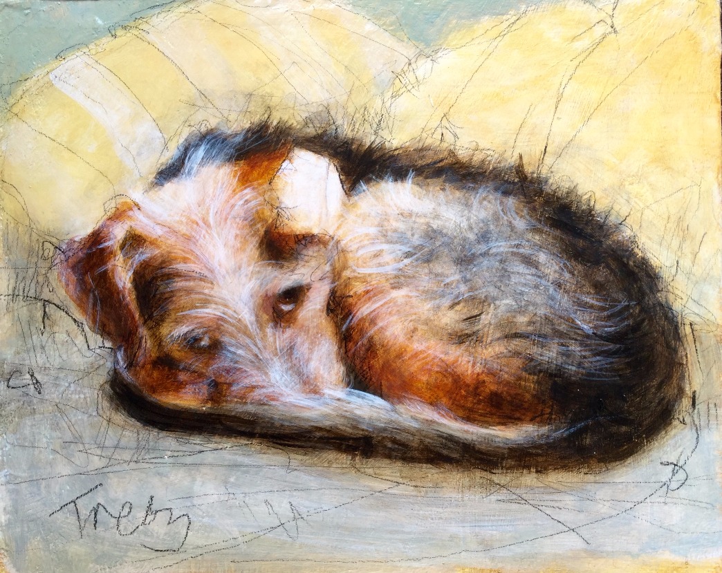 Little Terrier Janet Treby