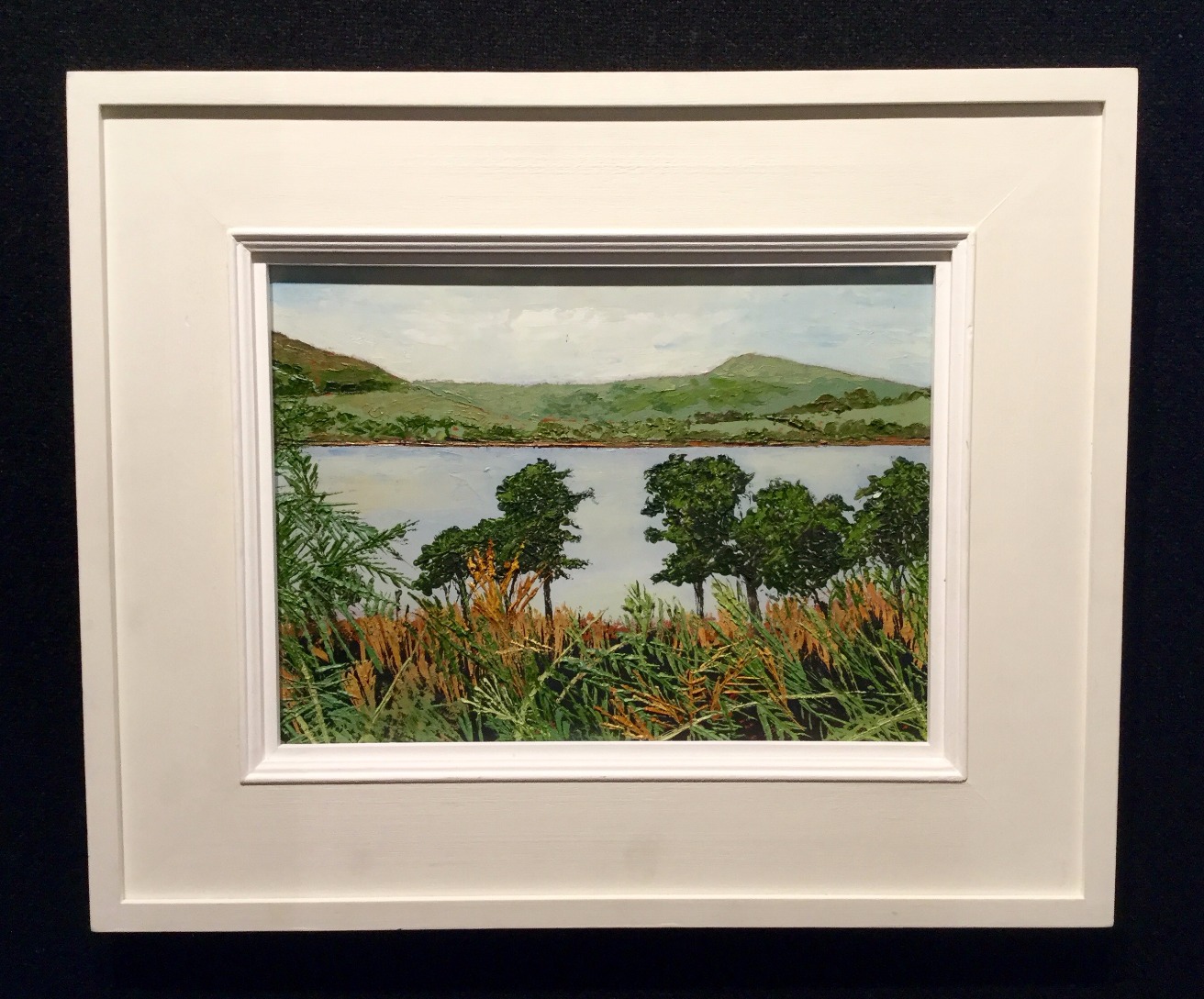 Dovestone Reservoir David Beer