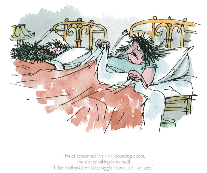 Help Screamed Mrs Twit Quentin Blake