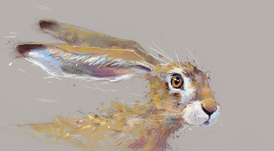 Sorry Must Dash! Nicky Litchfield