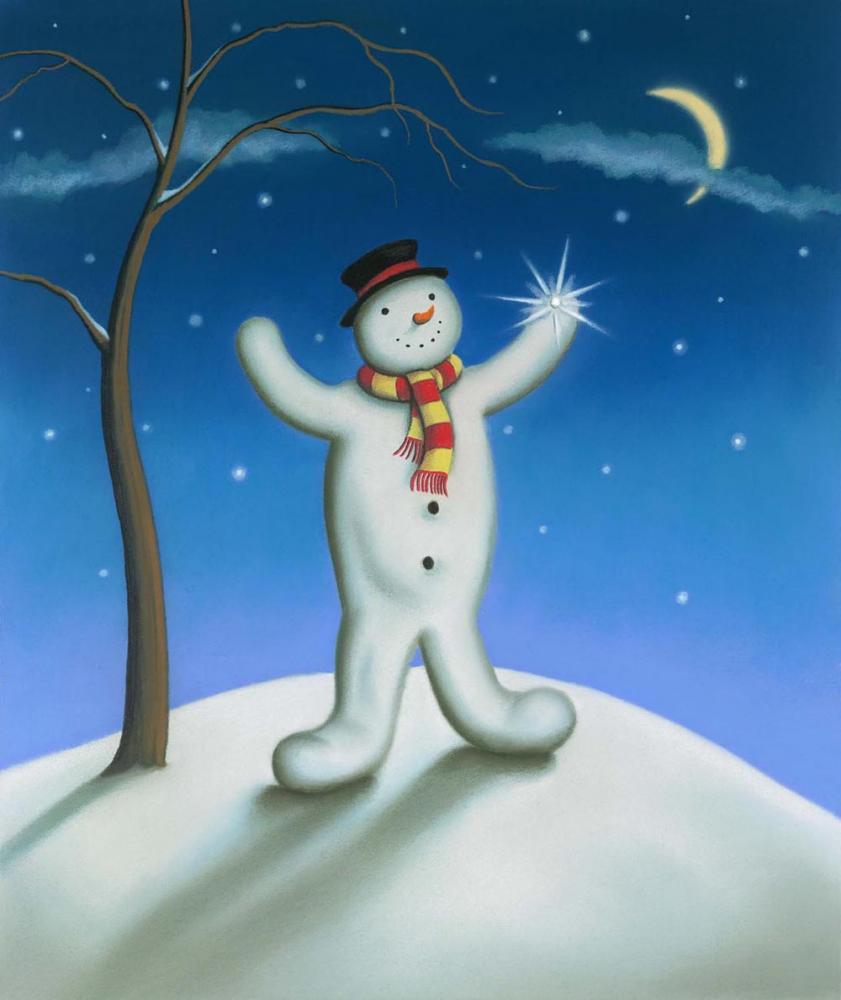 The Lost Snowflake Paul Horton
