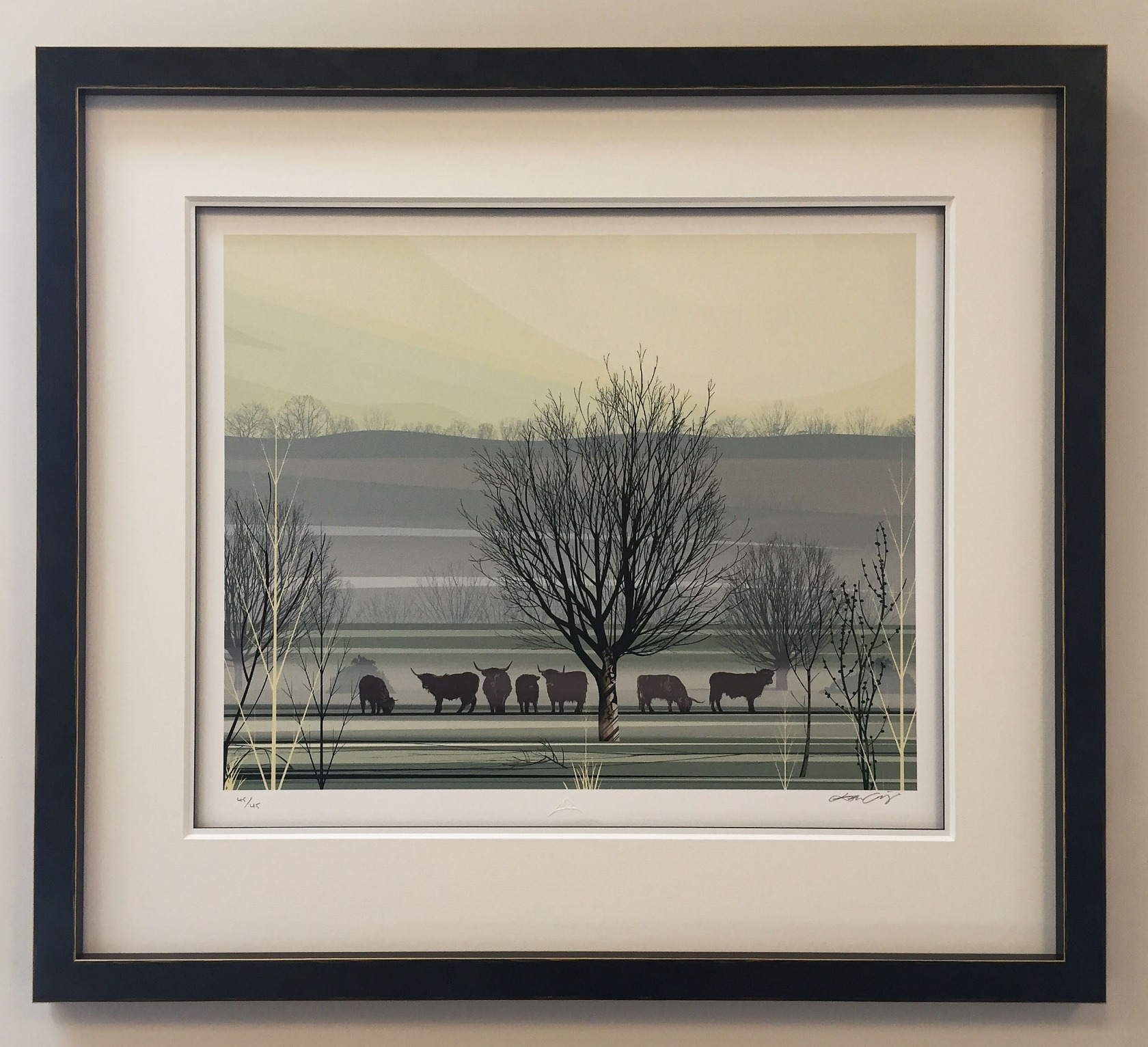 Misty Morning Dan Crisp