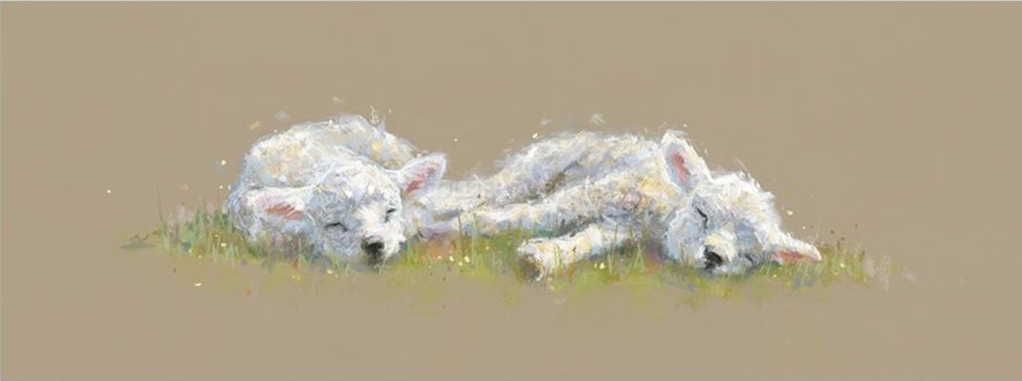 Springtime Slumber Nicky Litchfield