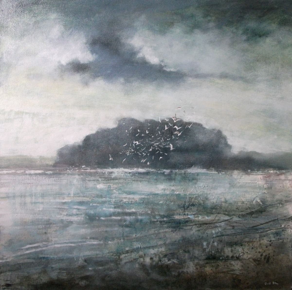Seabirds David Bez
