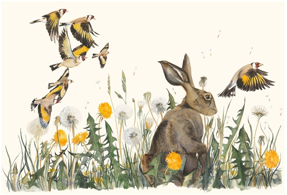 The Lost Words - Premium Print Collection Jackie Morris
