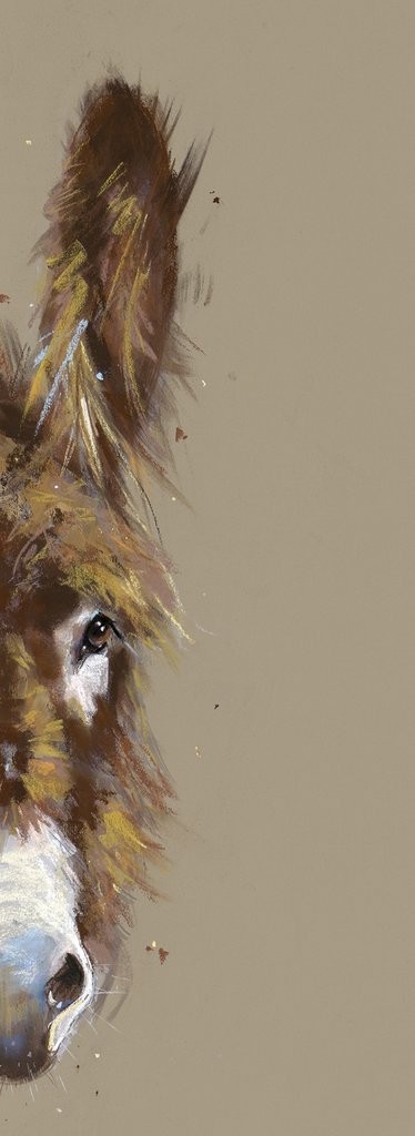Peeping Donkey Nicky Litchfield