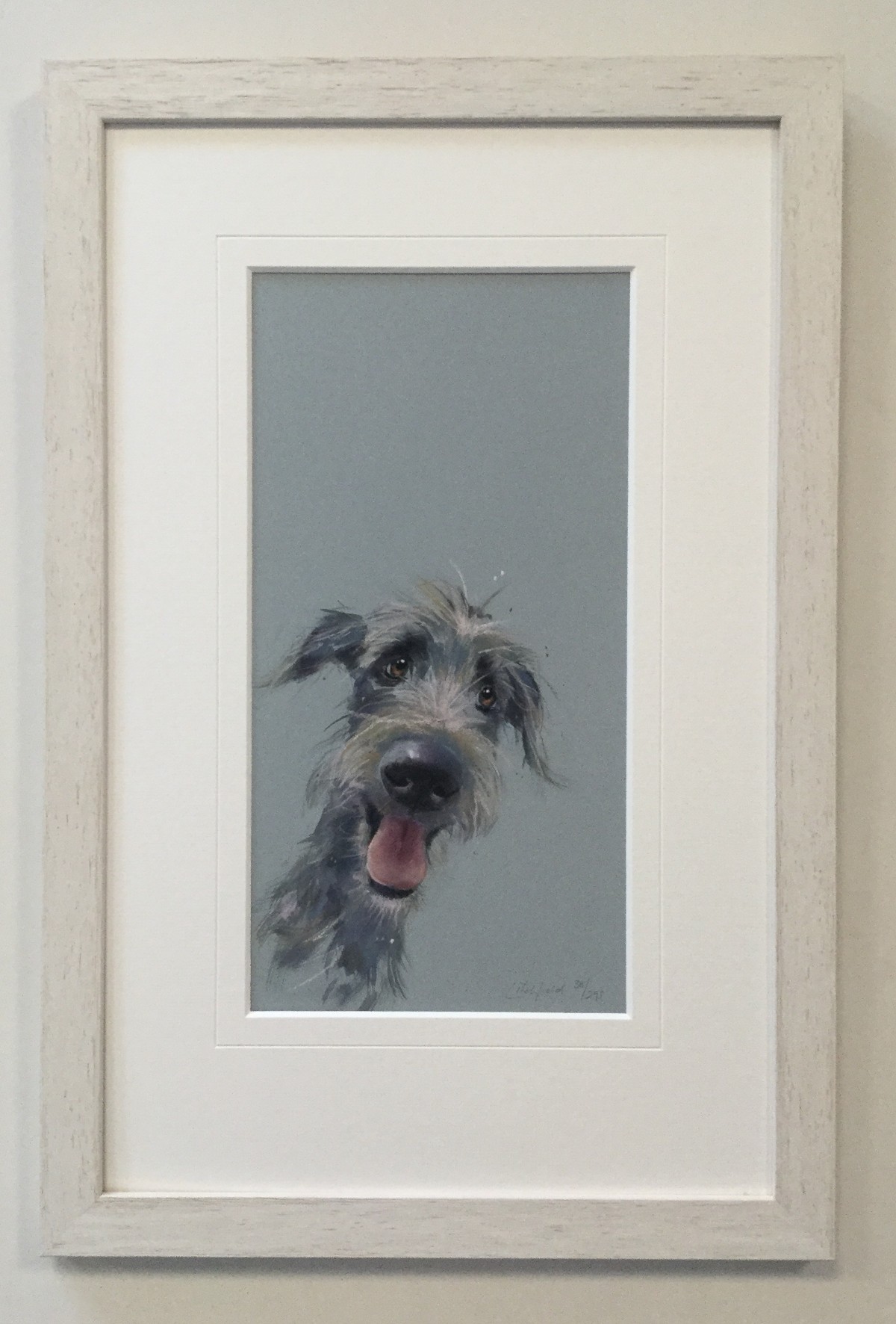 Scruffy Mutt (Artists Proof) Nicky Litchfield