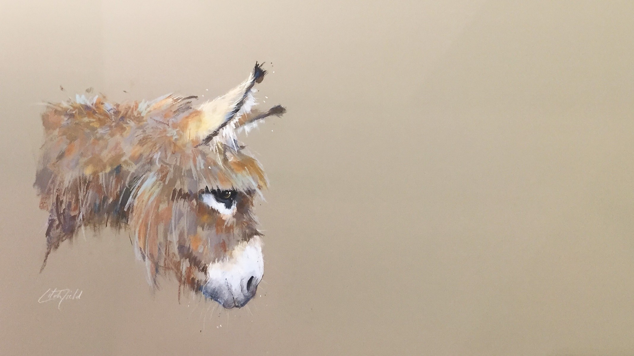 Contemplation Nicky Litchfield