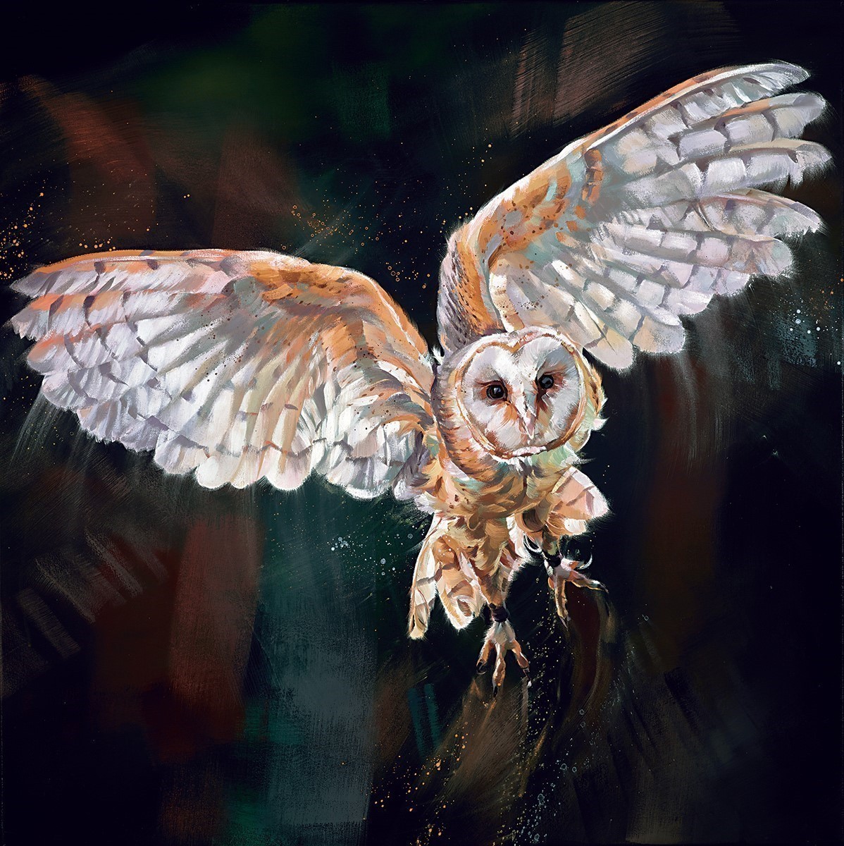Night Flight Debbie Boon