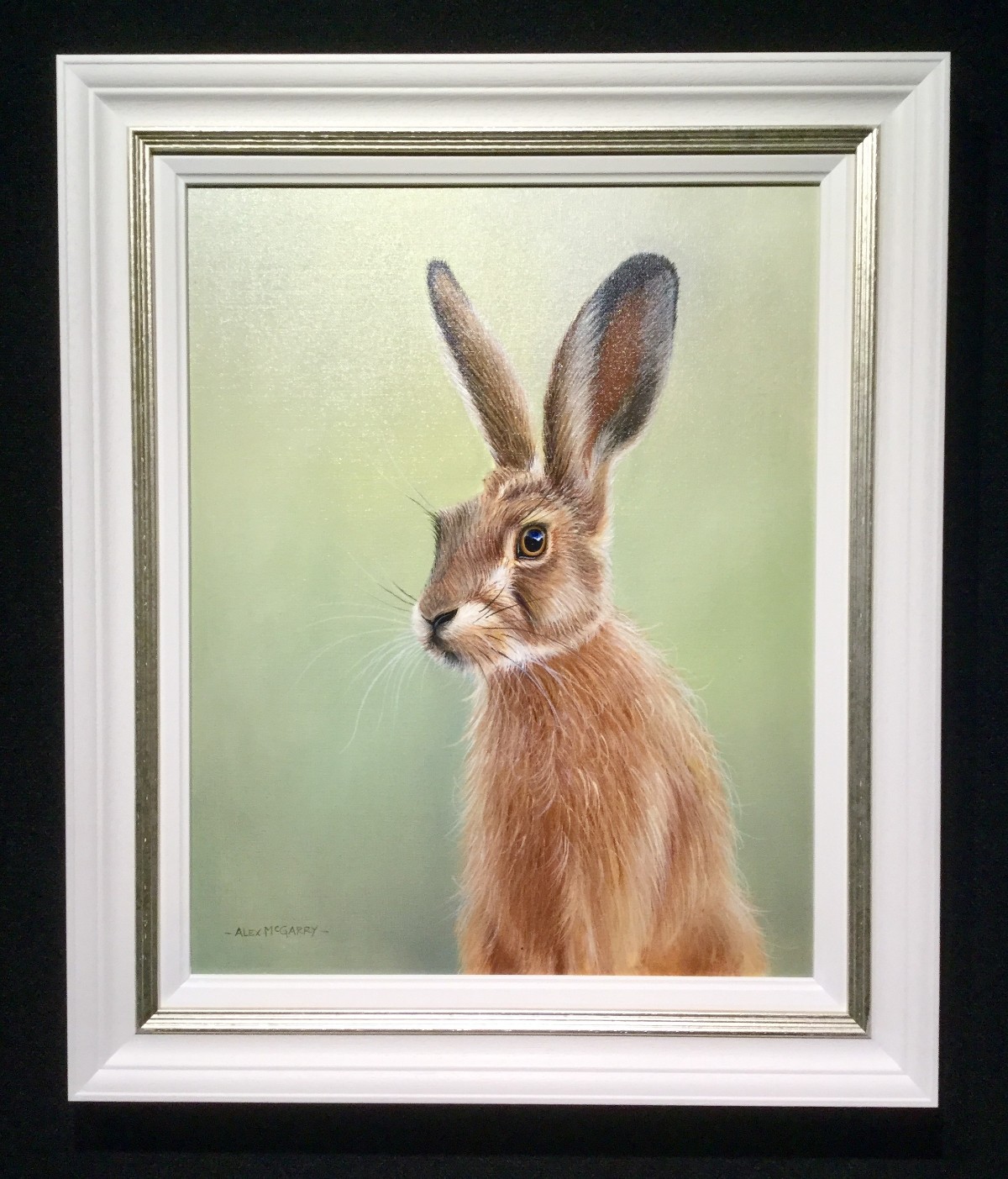 Inquisitive Hare Alex McGarry