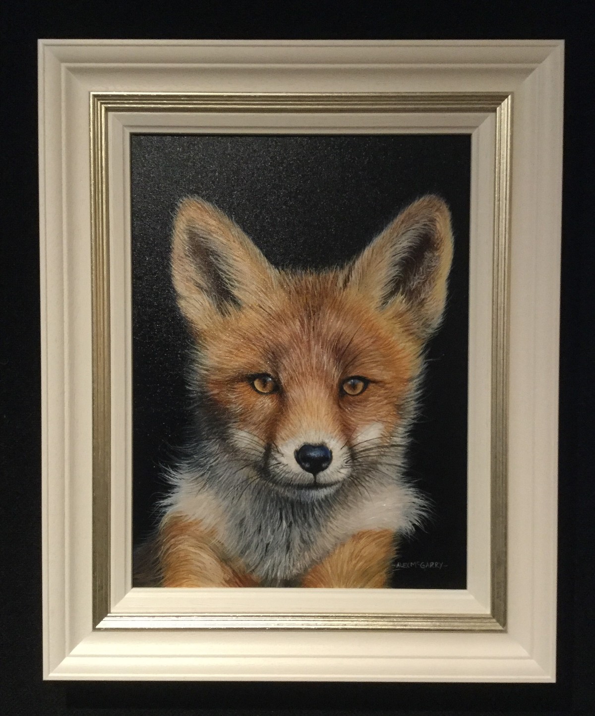 Curious Fox Alex McGarry