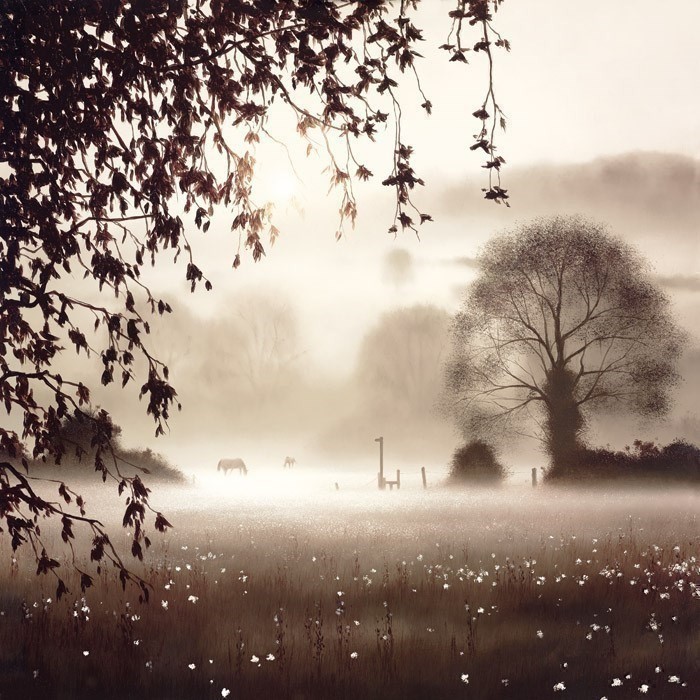 Enchanted Day John Waterhouse