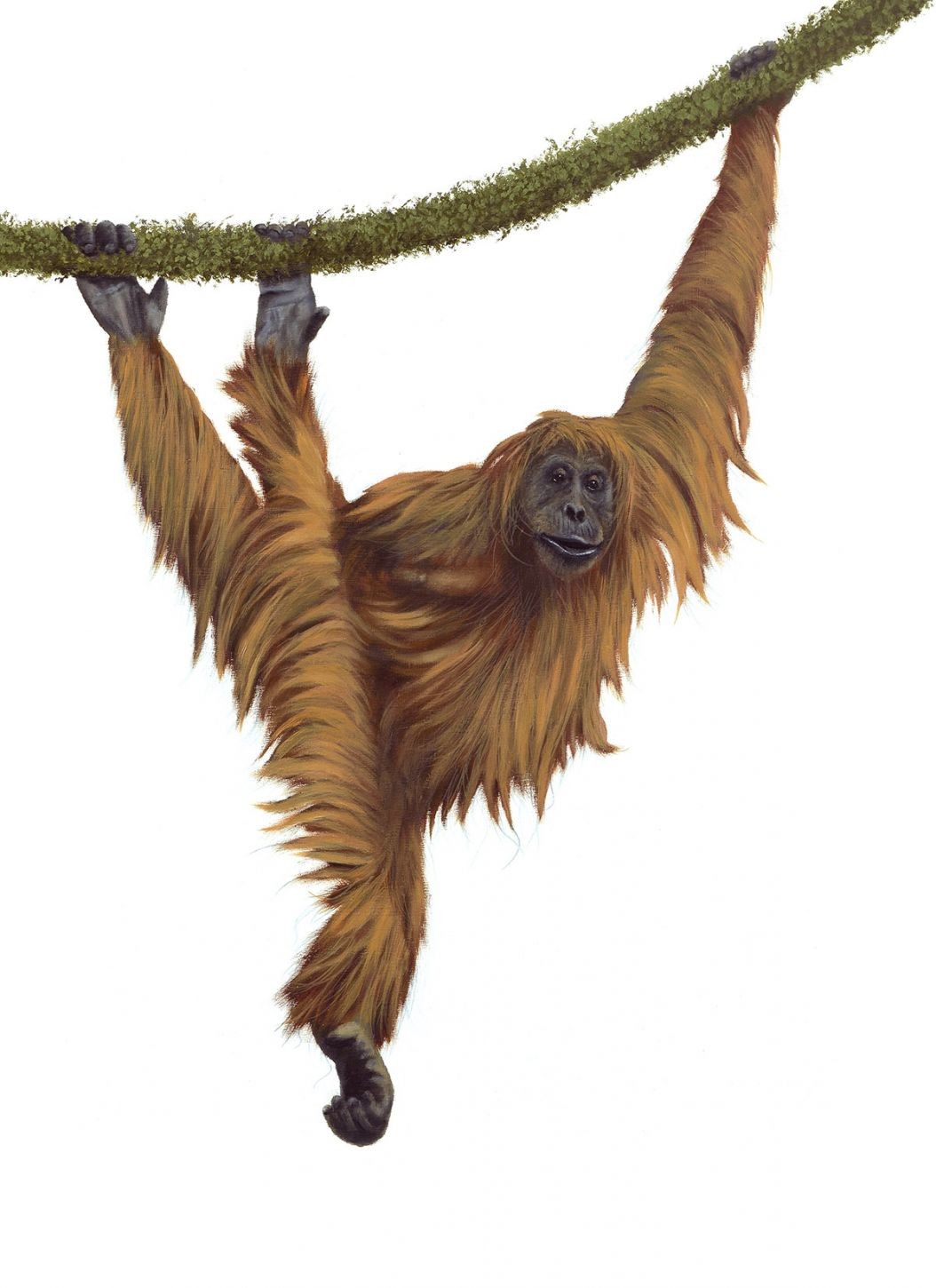 Swingers I Jonathan Truss