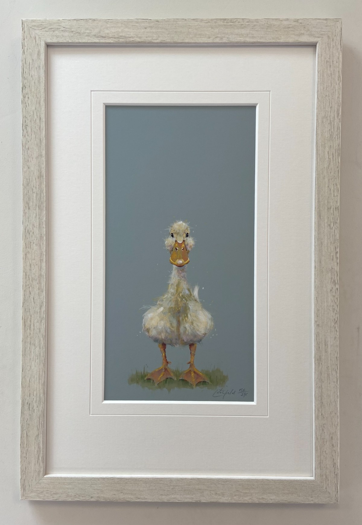 Quackers Nicky Litchfield