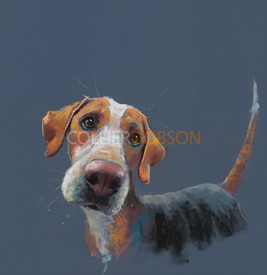 Hound Dog Nicky Litchfield
