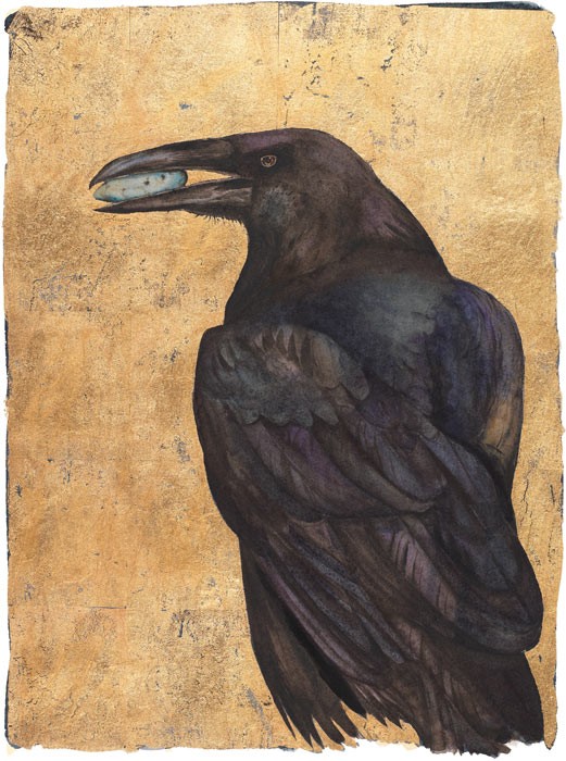 The Lost Words - Raven Jackie Morris