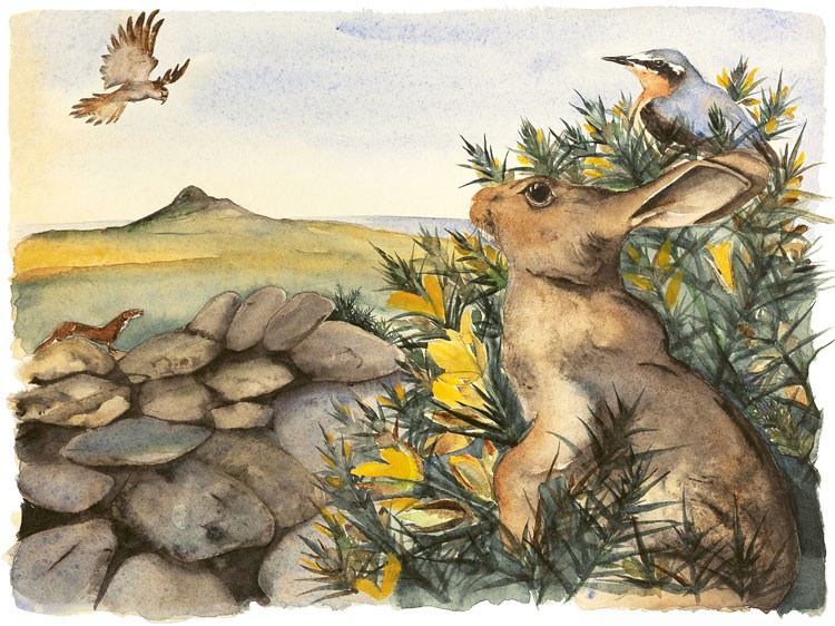 The Lost Spells - Gorse Jackie Morris