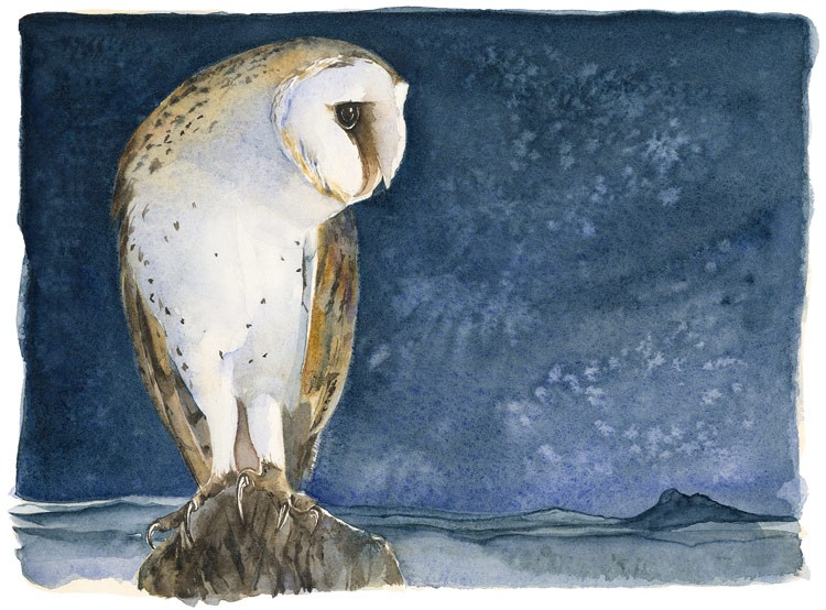The Lost Spells - Barn Owl Jackie Morris
