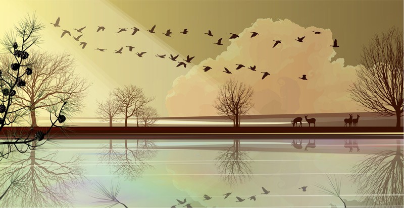 Returning Home (with Silk Screens) Dan Crisp
