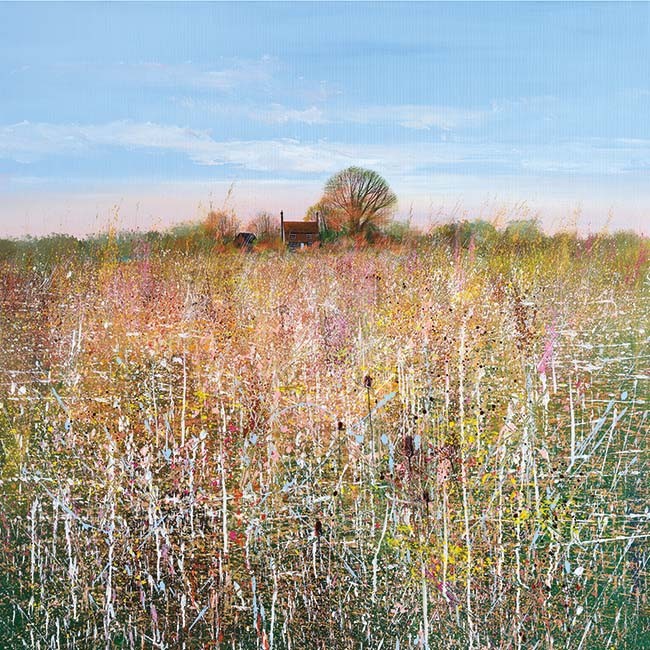 Wild Summer Meadow Paul Evans