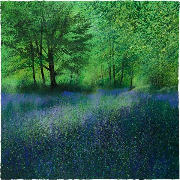 Secret Bluebells Paul Evans
