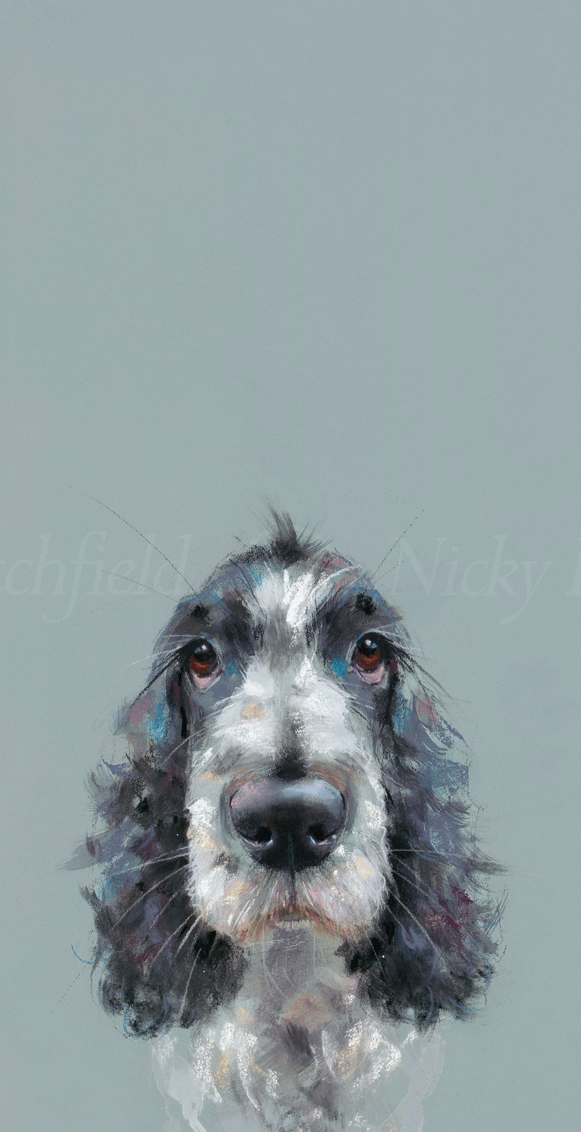 Can I Come Too? Nicky Litchfield