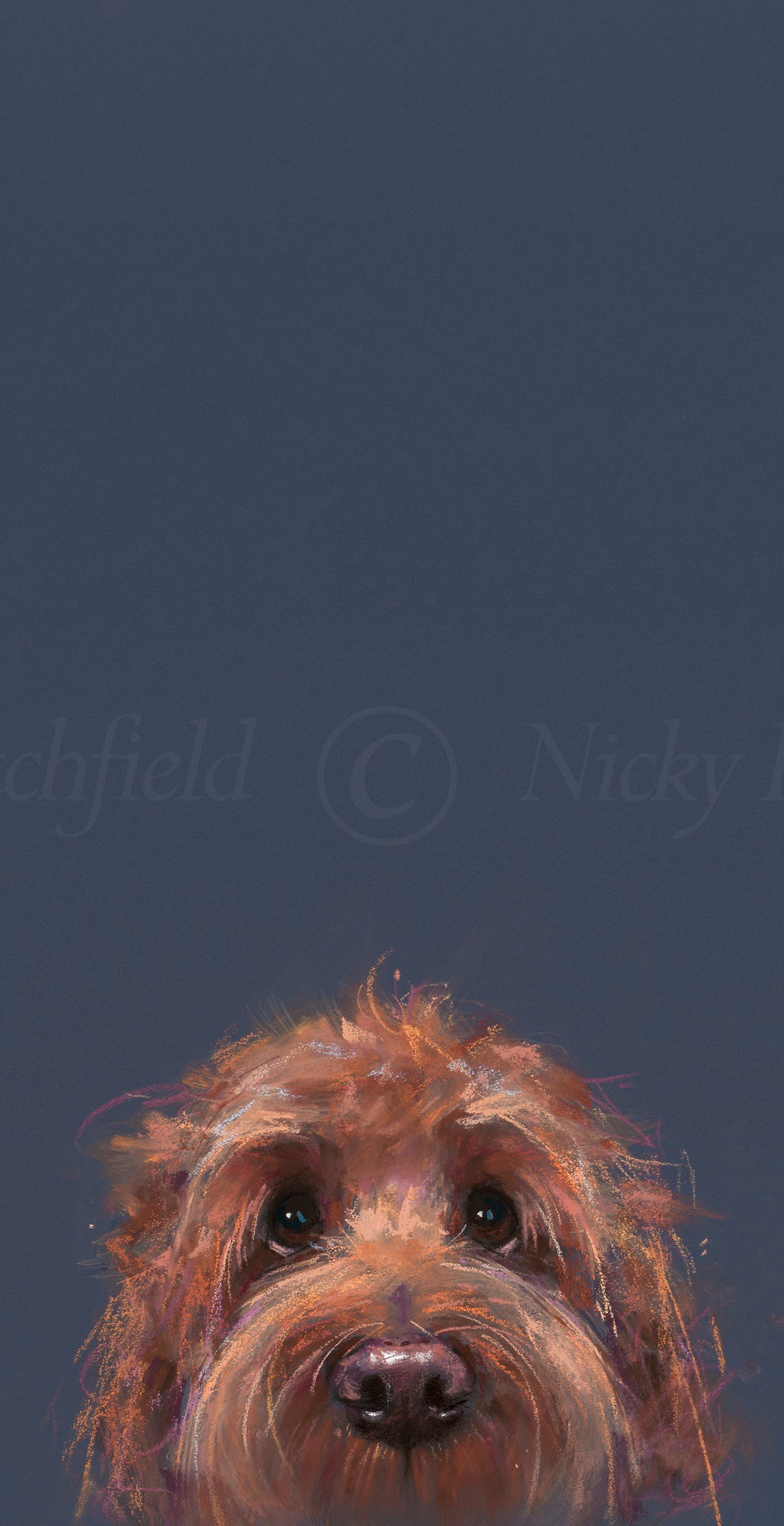 Cute as a Button Nicky Litchfield