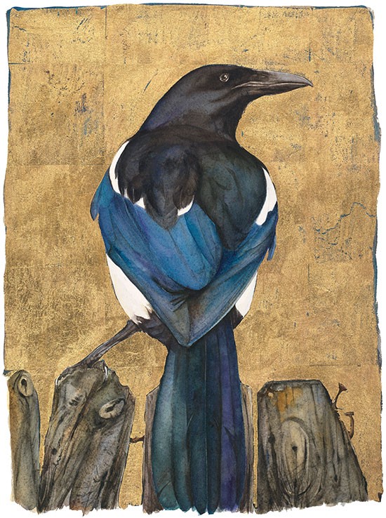The Lost Words - Magpie Jackie Morris