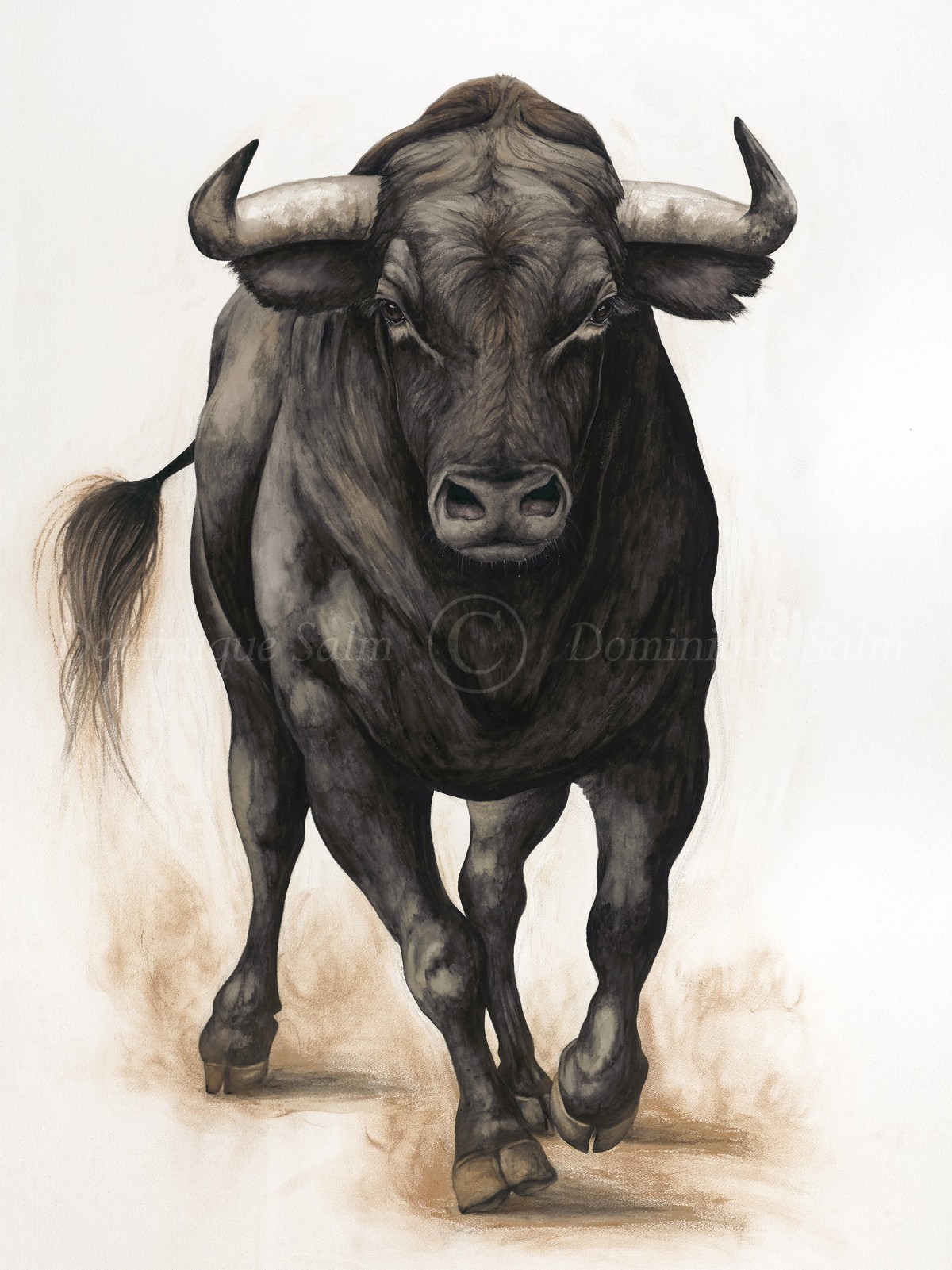 The Boss Dominique Salm