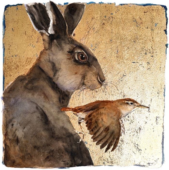Hare and Wren Jackie Morris