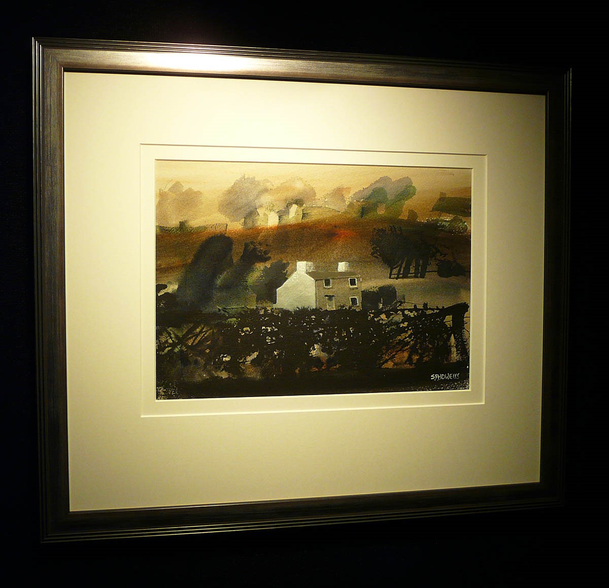 The Lonely Cottage Sue Howells